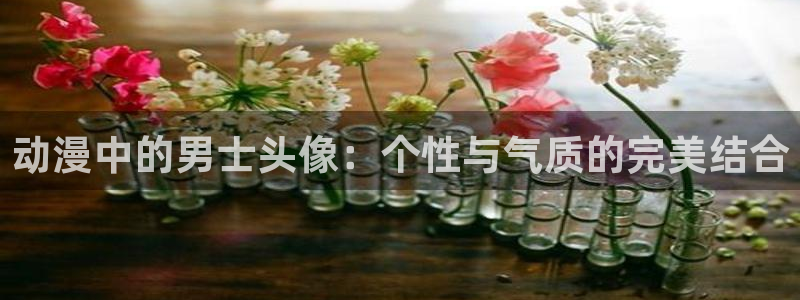 樱花动漫怎么看