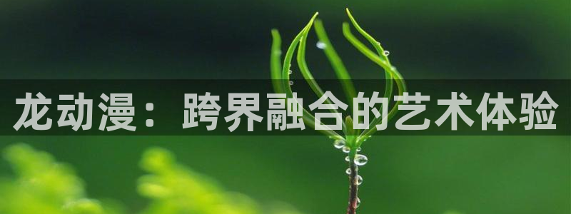 风车漫画在线看动画