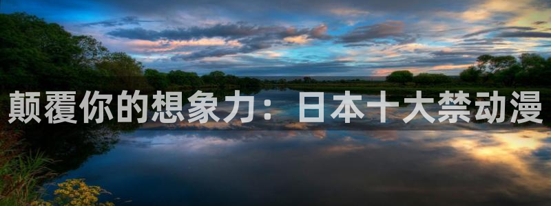 樱花动漫.：颠覆你的想象力：日本十大禁动漫