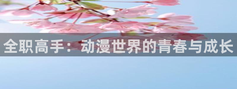 dm530樱花动漫：全职高手：动漫世界的青春与成长