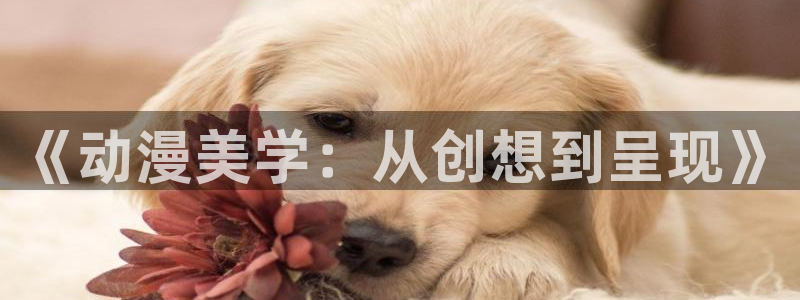 樱花动漫所有版本：《动漫美学：从创想到呈现》