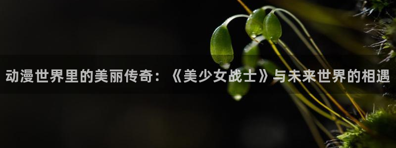 樱花动漫网：动漫世界里的美丽传奇：《美少女战士》与未来世界的相遇